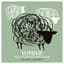 Yonder Mountain String Band
