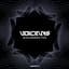 Voicians