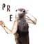 PRE