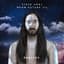 Steve Aoki