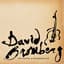 David Bromberg