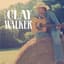 Clay Walker
