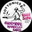 The Phenomenal Handclap Band