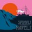 Spinvis