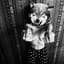Lolawolf