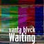 vanta blvck