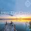 The Diventa Project