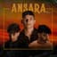 Ansara