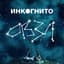 Инкогнито