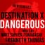 Destination X