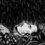 KIDD KAWAKI