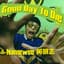 Namewee