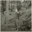 Jay-Jay Johanson