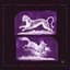 Tempura the Purple Boy