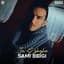 Sami Beigi