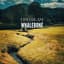 Whalebone