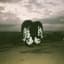 Death from Above 1979