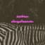 Zebra Daydream
