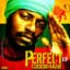 Perfect Giddimani