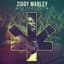 Ziggy Marley