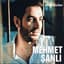 Mehmet Şanlı