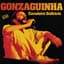 Gonzaguinha