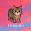 OIIA Cat