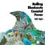 Rolling Blackouts Coastal Fever