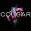 Cougar