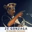 Zé Gonzaga