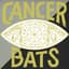 Cancer Bats