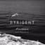 Dyrigent