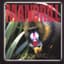 Mandrill