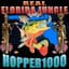 Hopper1000
