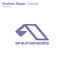 Andrew Bayer