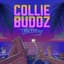 Collie Buddz