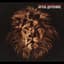 John Butler Trio
