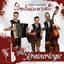 Trio Krainerlogie