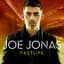 Joe