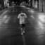Novel 729