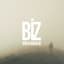 Biz