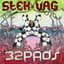 Dj Vag