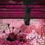 A Kiss Could Be Deadly