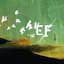 EF
