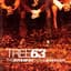 Tree63