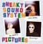 Sneaky Sound System
