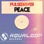 Pulsedriver