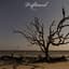 Driftwood