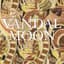 Vandal Moon