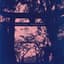 Richard Youngs